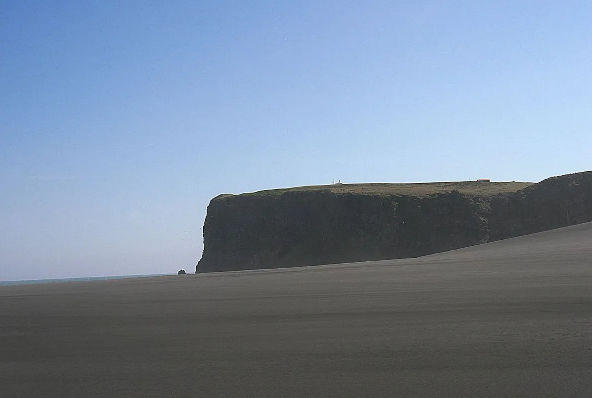 A Coastal Wildlife Viewing Experience