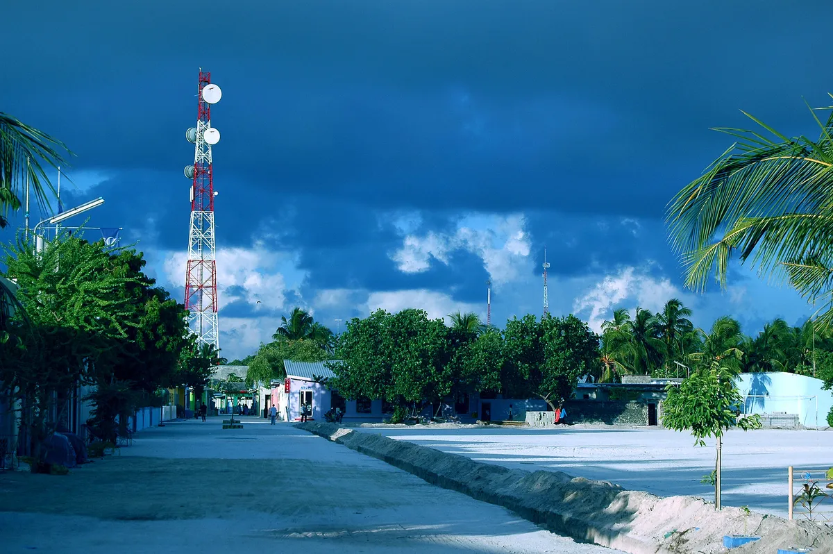 Local Island Immersion