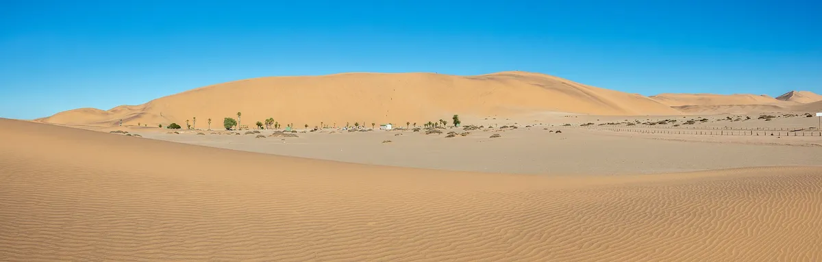 Desert Dune Adrenaline Experiences