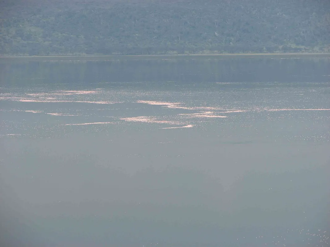 A Day Safari to a Major National Park