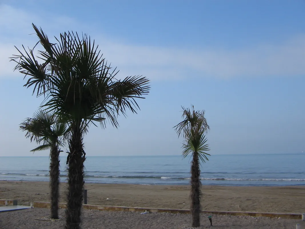 Coastal Relaxation & Adriatic Beaches