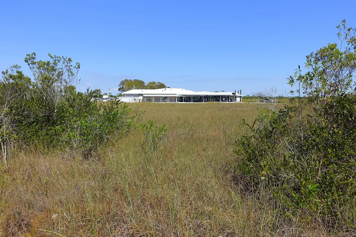 Everglades Wildlife Adventure