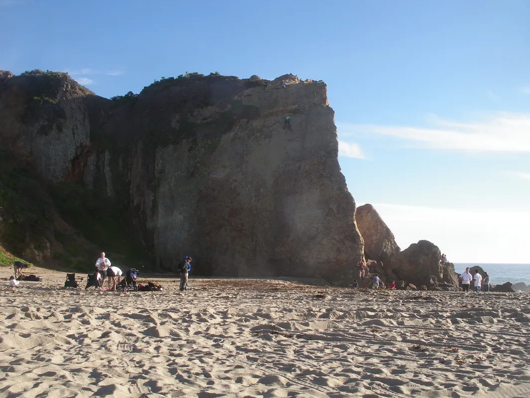 A Scenic Coastal Drive & Nature Stop