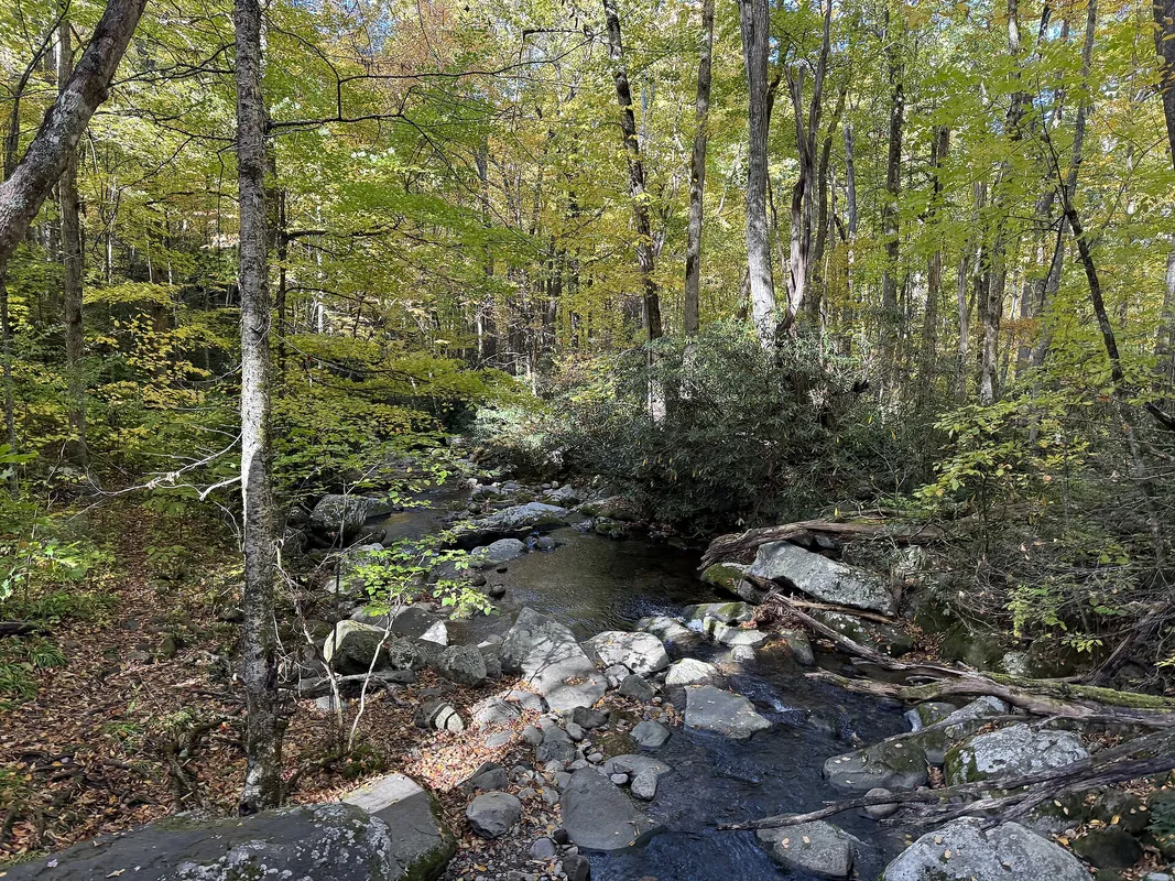 A Scenic Mountain Drive with Hidden Gems