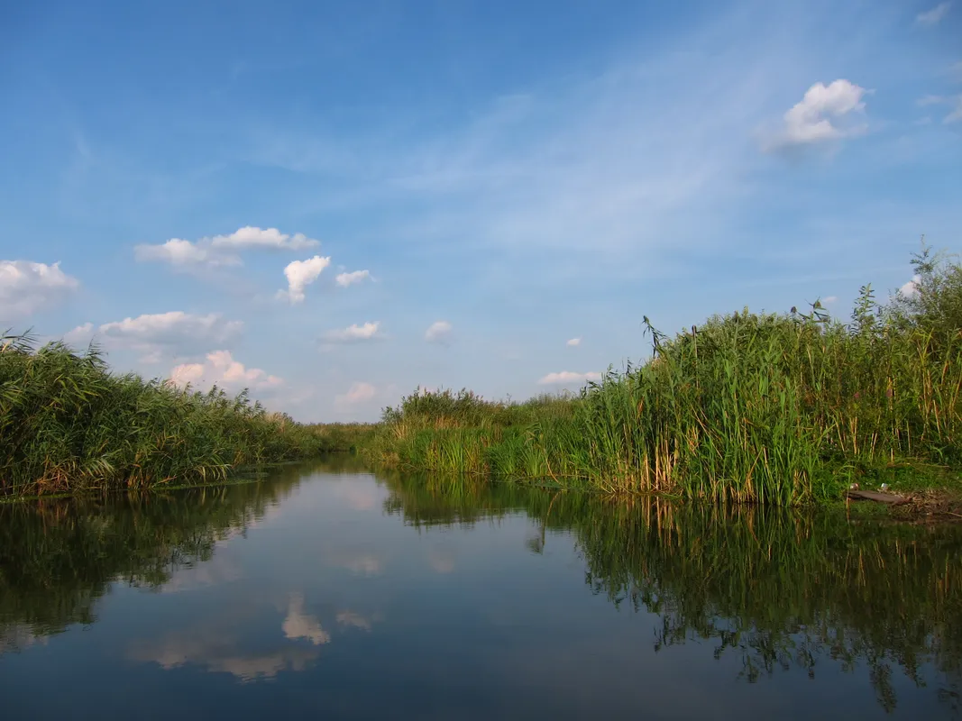 A Nature Escape & Outdoor Adventure near Bucharest