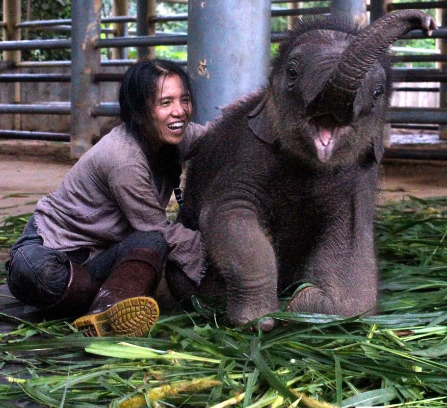 Ethical Elephant Sanctuary Visit
