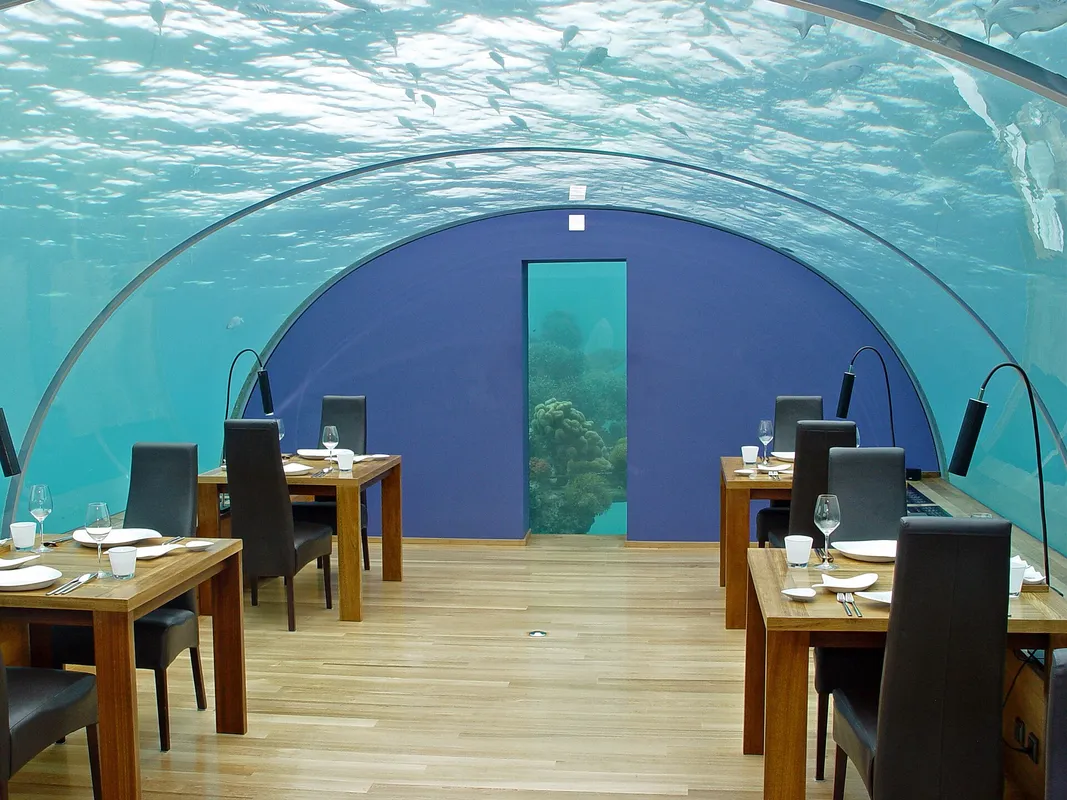 An Underwater or Overwater Fine Dining Experience