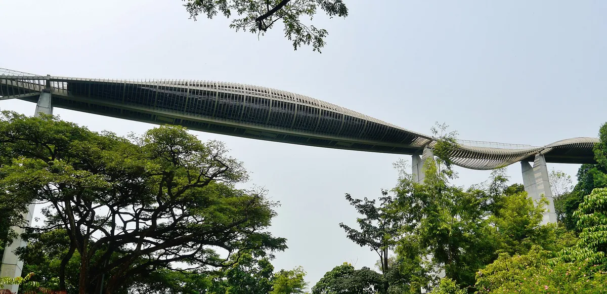 A Scenic Nature Walk & Canopy Adventure