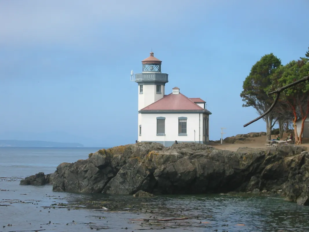 A Coastal Wildlife Viewing Excursion