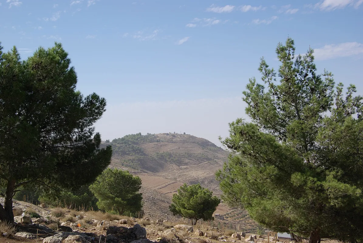 Exploring Jordan's Religious & Mosaic Heritage