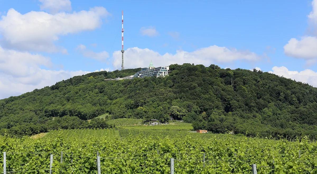 A Scenic Hike in the Wienerwald