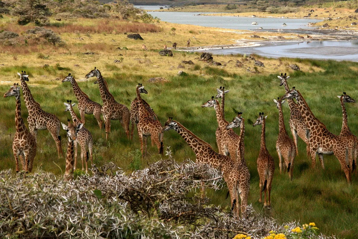 Arusha National Park Exploration