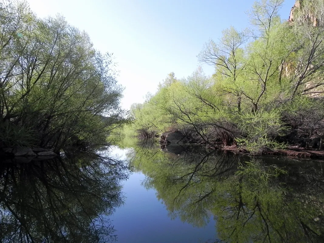 A Scenic Lake Kayaking or Paddleboarding Excursion