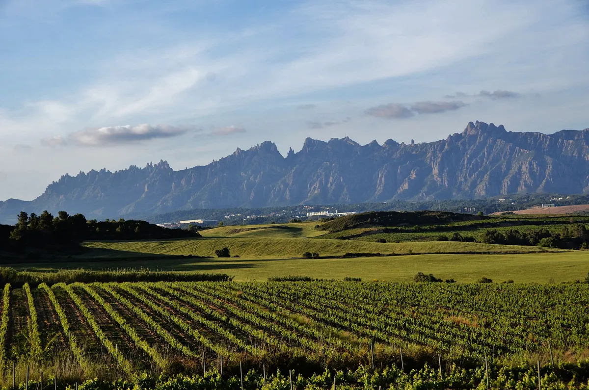 Panoramic Views & Mountain Retreats