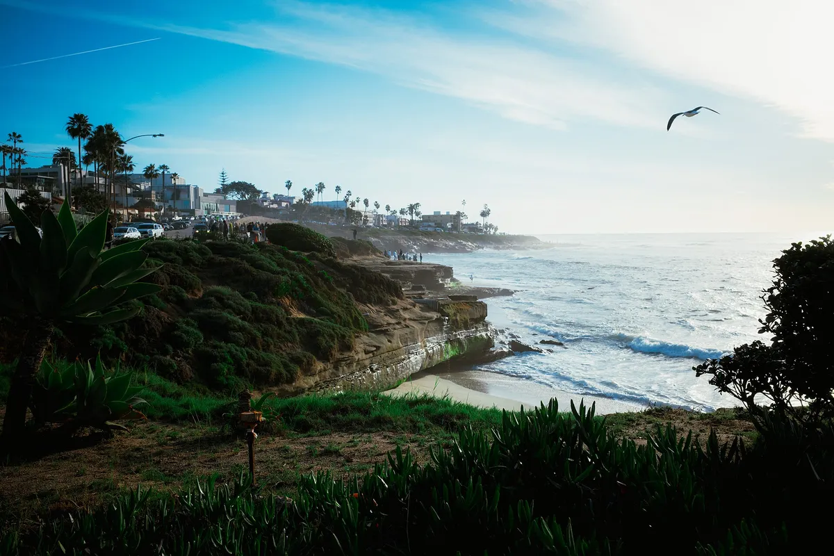 A Coastal Kayaking or Paddleboarding Adventure