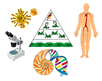 Parte 1 - Fenómenos biológicos y de la salud