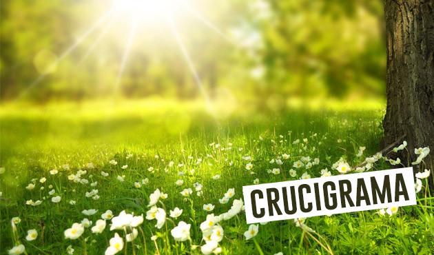 1. Taller naturalista: crucigrama