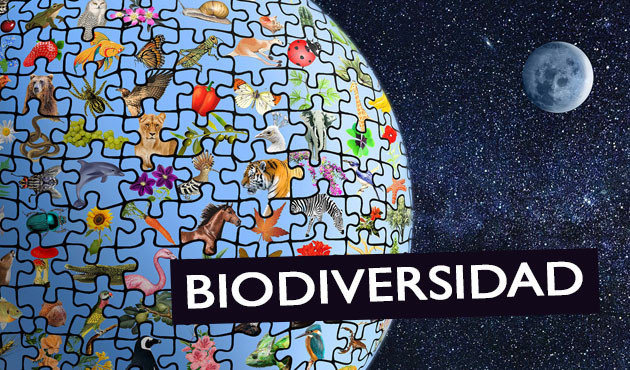 Biodiversidad