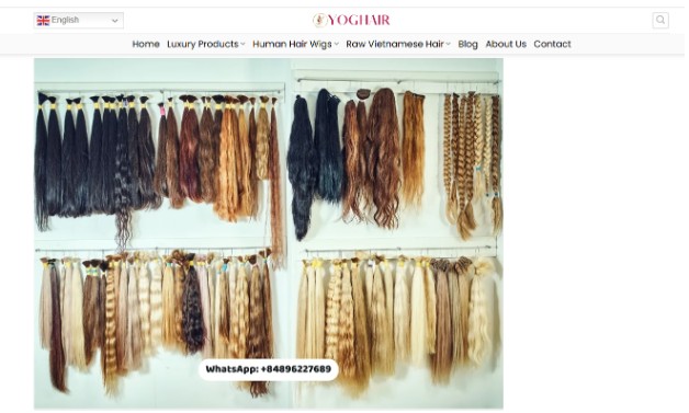 The Skills Gap Crisis in Professional Hair Extension Services