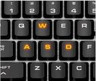 WASD Keyboard Setup
