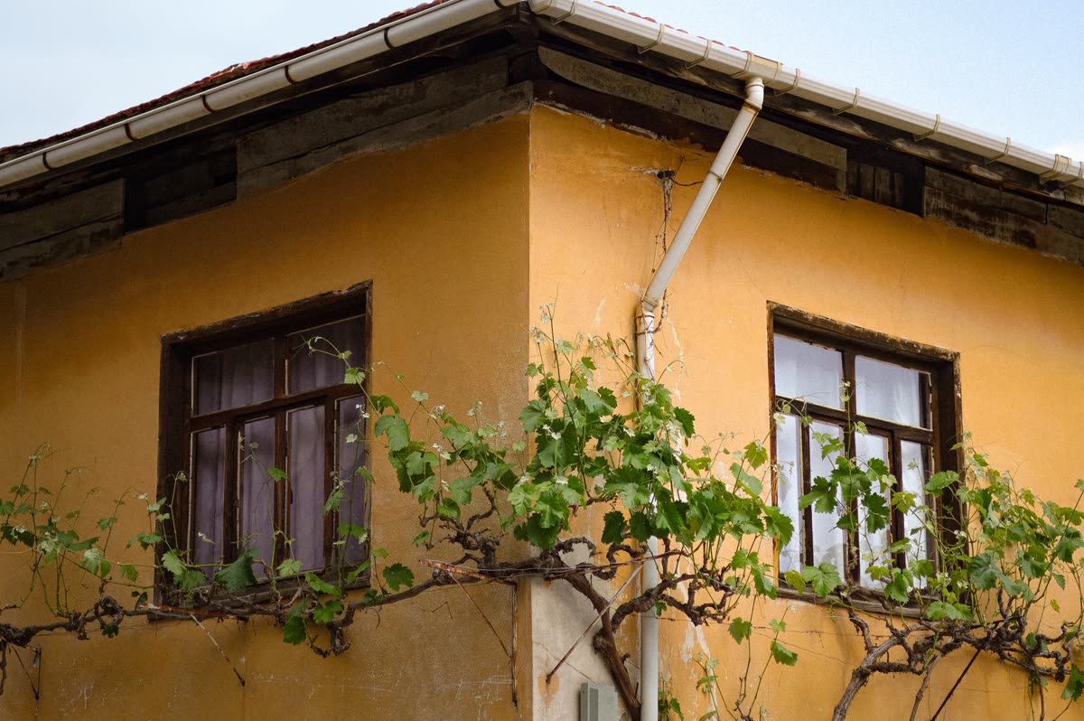 Gutter Cleaning & Guards