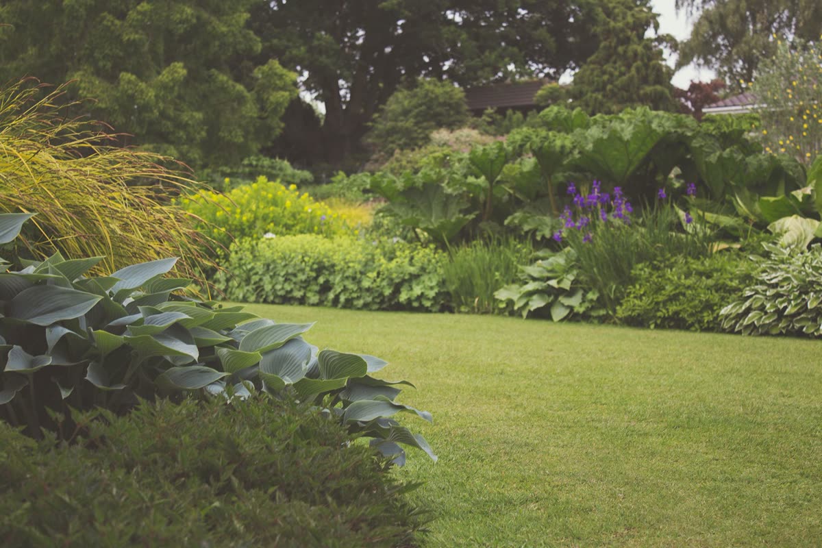 Landscaping & Design