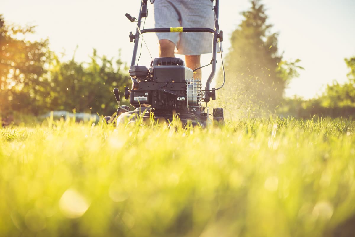 Lawn Care & Mowing