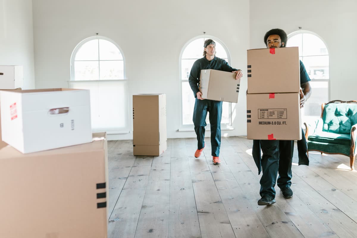 Moving & Packing Help