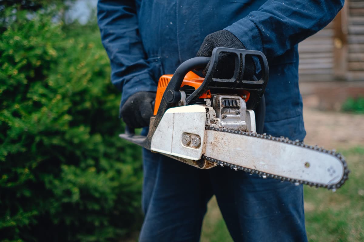 Tree Trimming & Removal