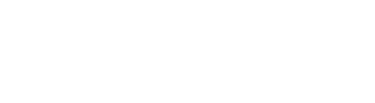 BlitzFin