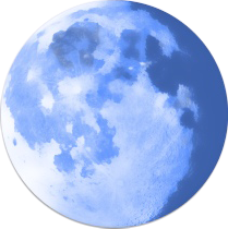 Pale Moon now accepting bitcoin donations
