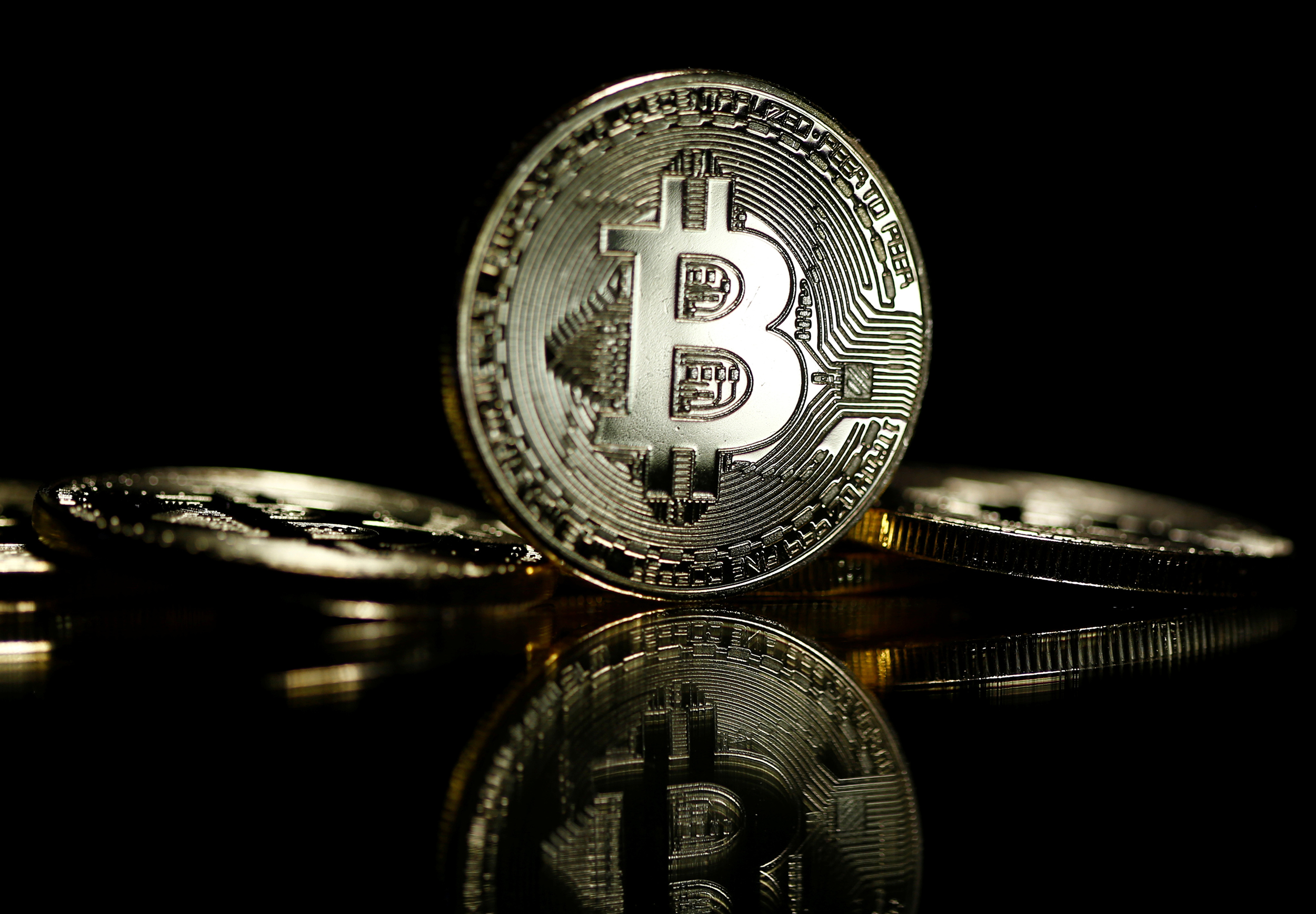 Tokenist Survey: Male Millennials Are Key In Maintaining Bitcoin’s Momentum