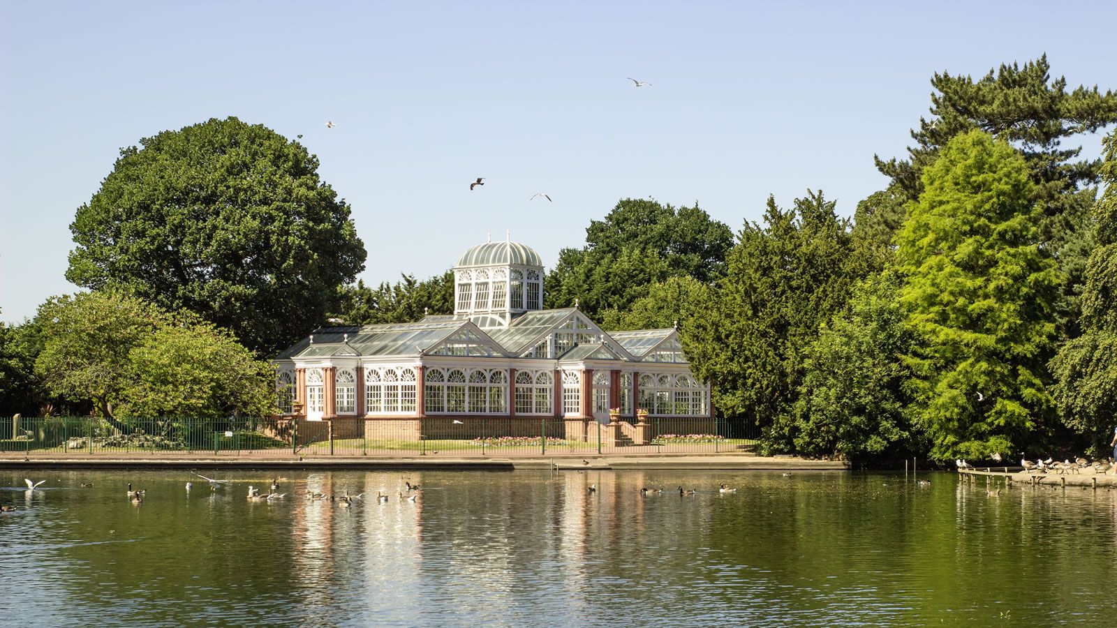 A beautiful view of lake and trees in West Park in Wolverhampton 