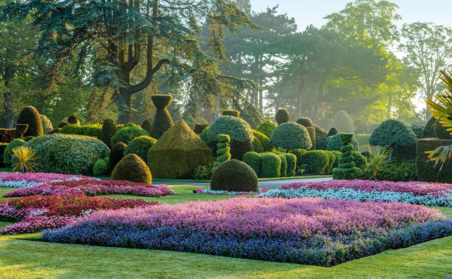 the gardern with colorful grasses