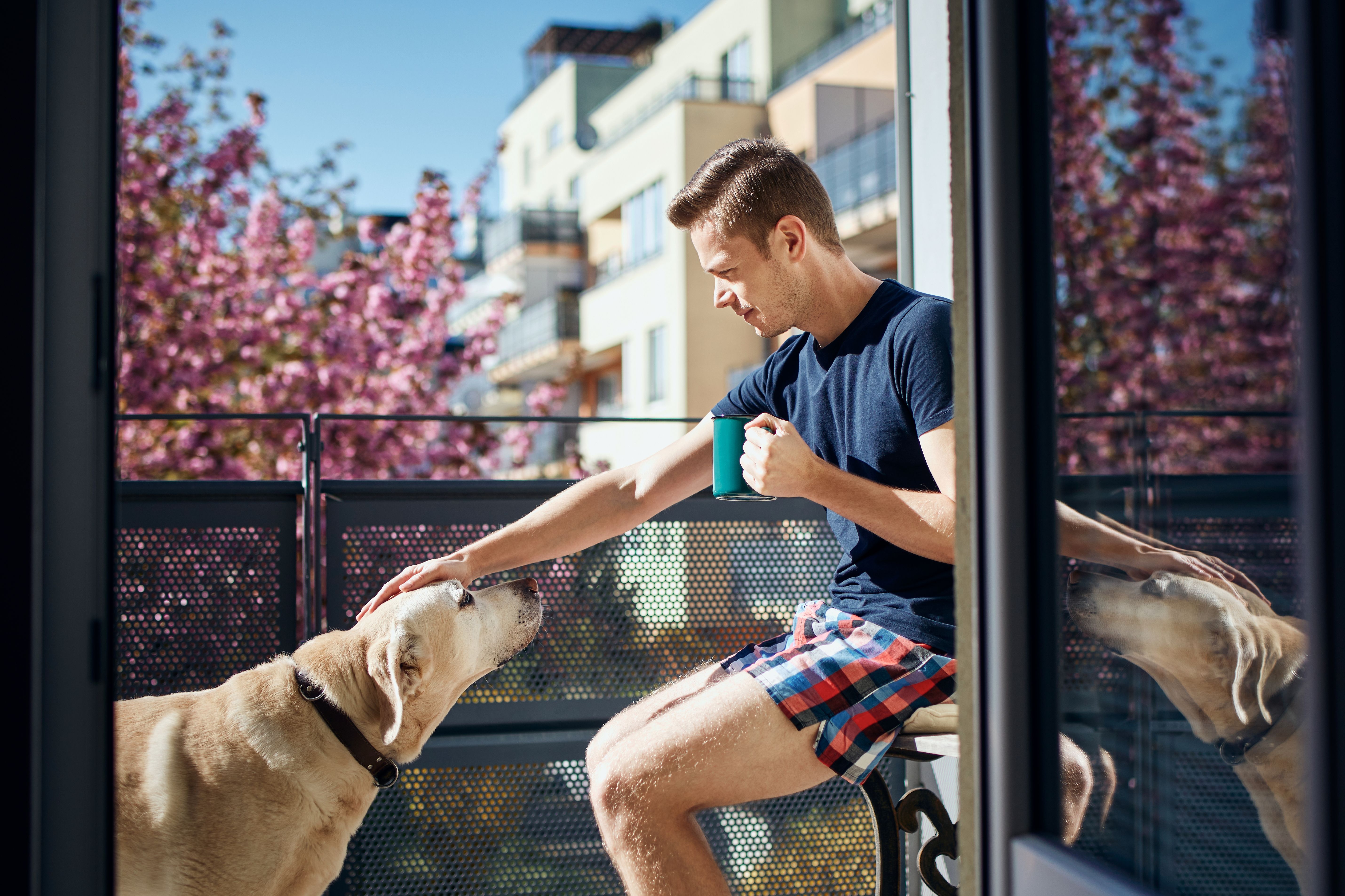A dog and its owner spending some quality time in their balcony overlooking their Build To Rent communal garden.