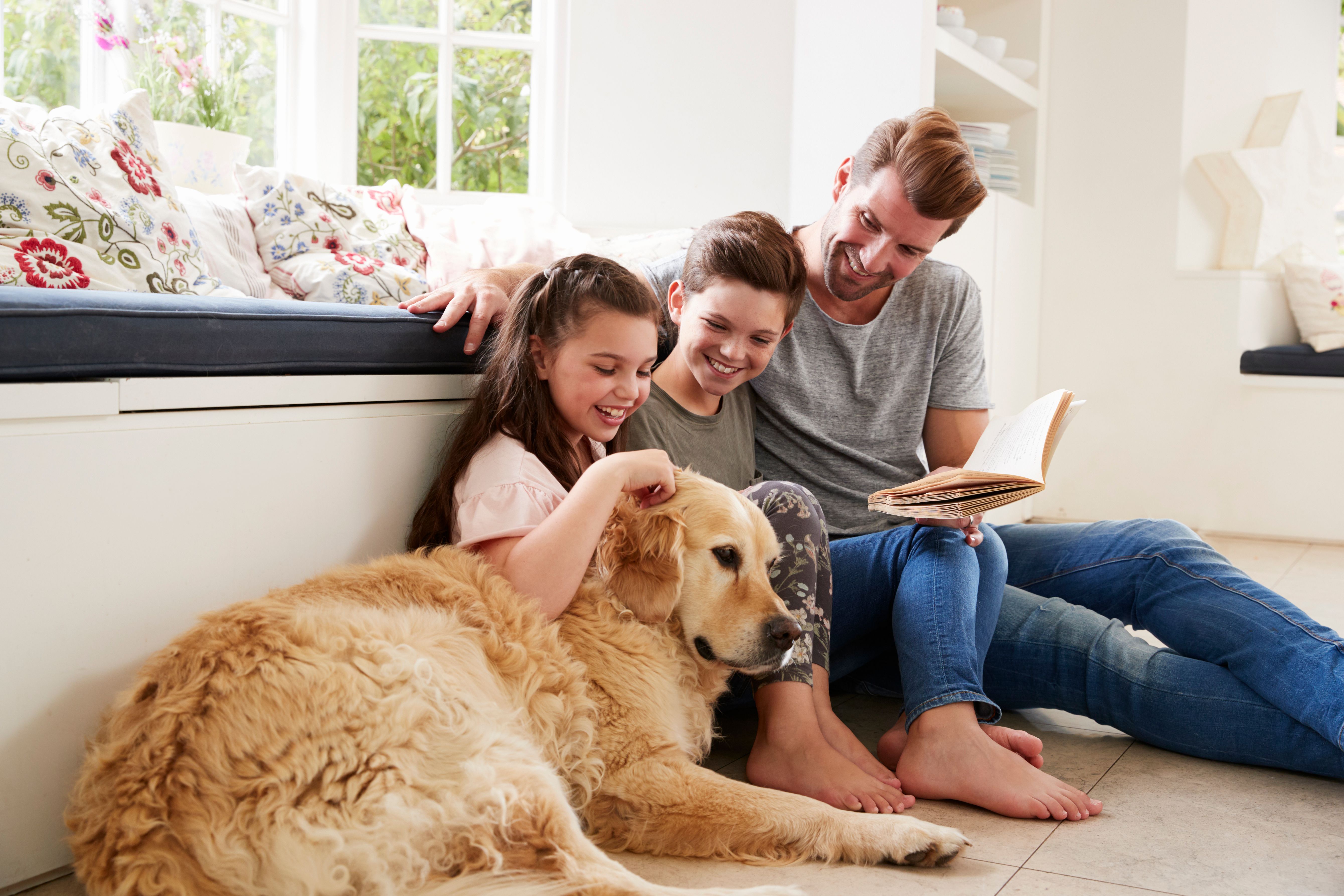 A father reading a story to his kids and dog at their new Build To Rent property after clearing all tenant reference checks.