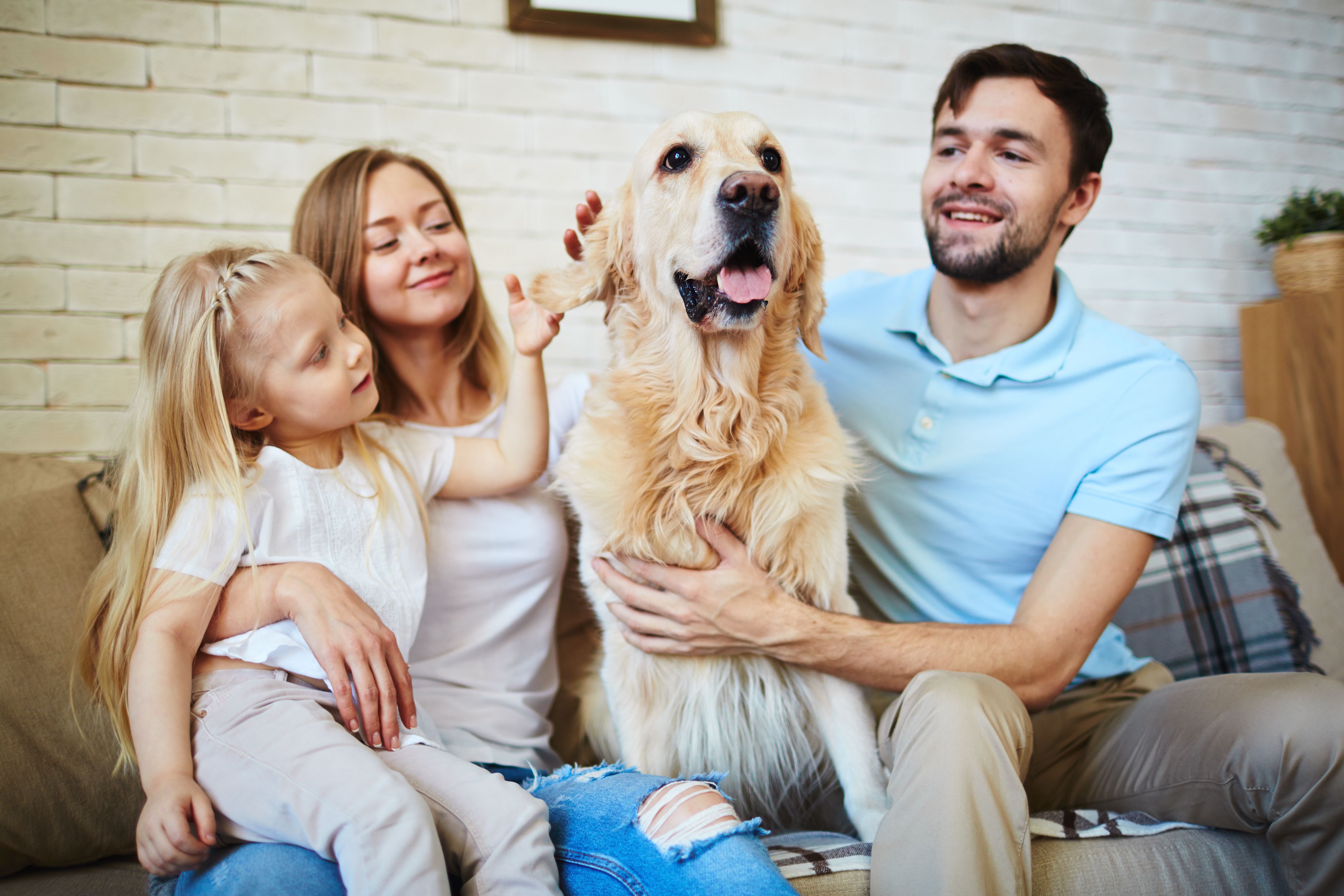 A happy family enjoying their home time with their dog in a new pet-friendly Build To Rent house.