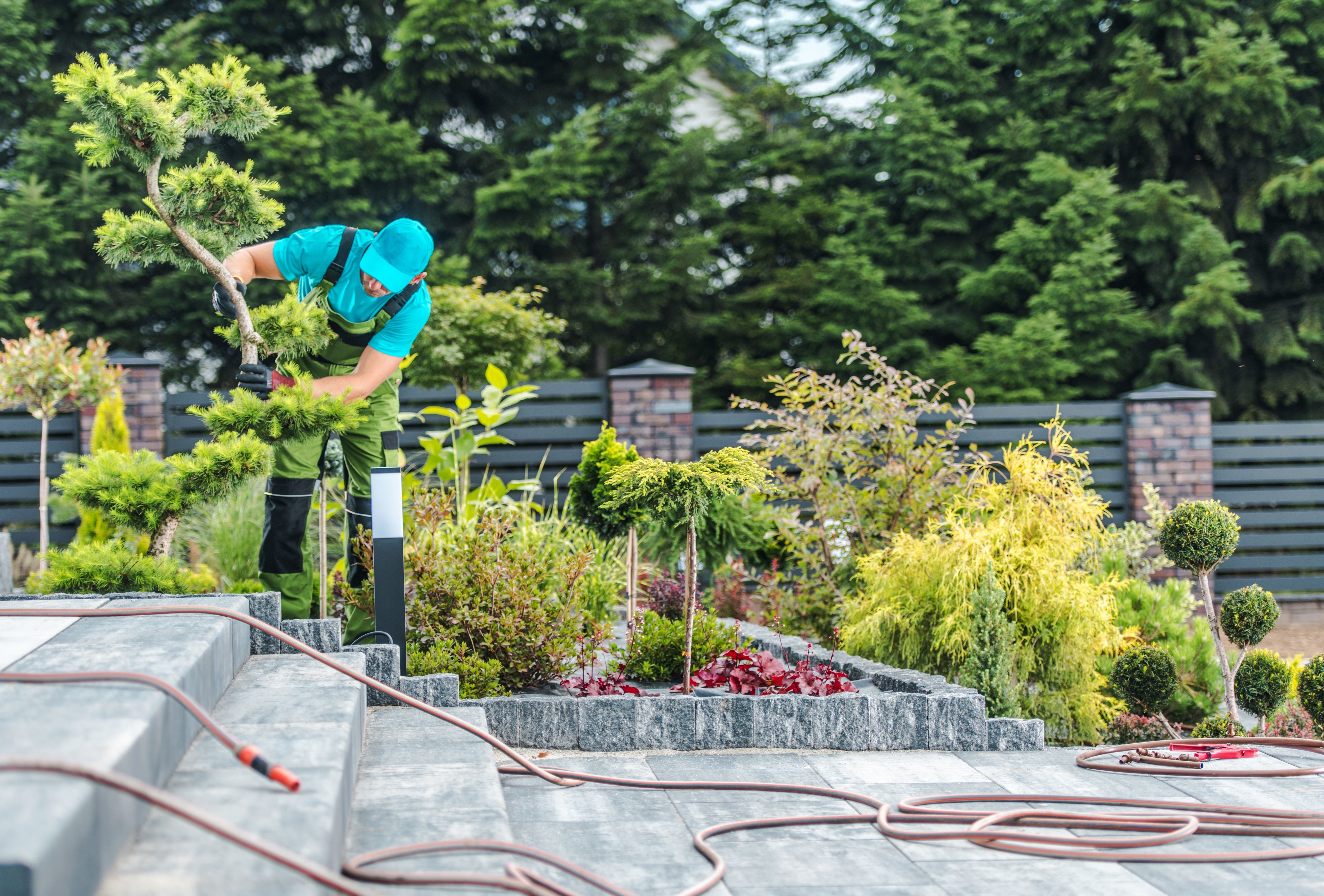  A gardener working in a garden with hose pipes on concrete stairs and a fence and trees in the background 