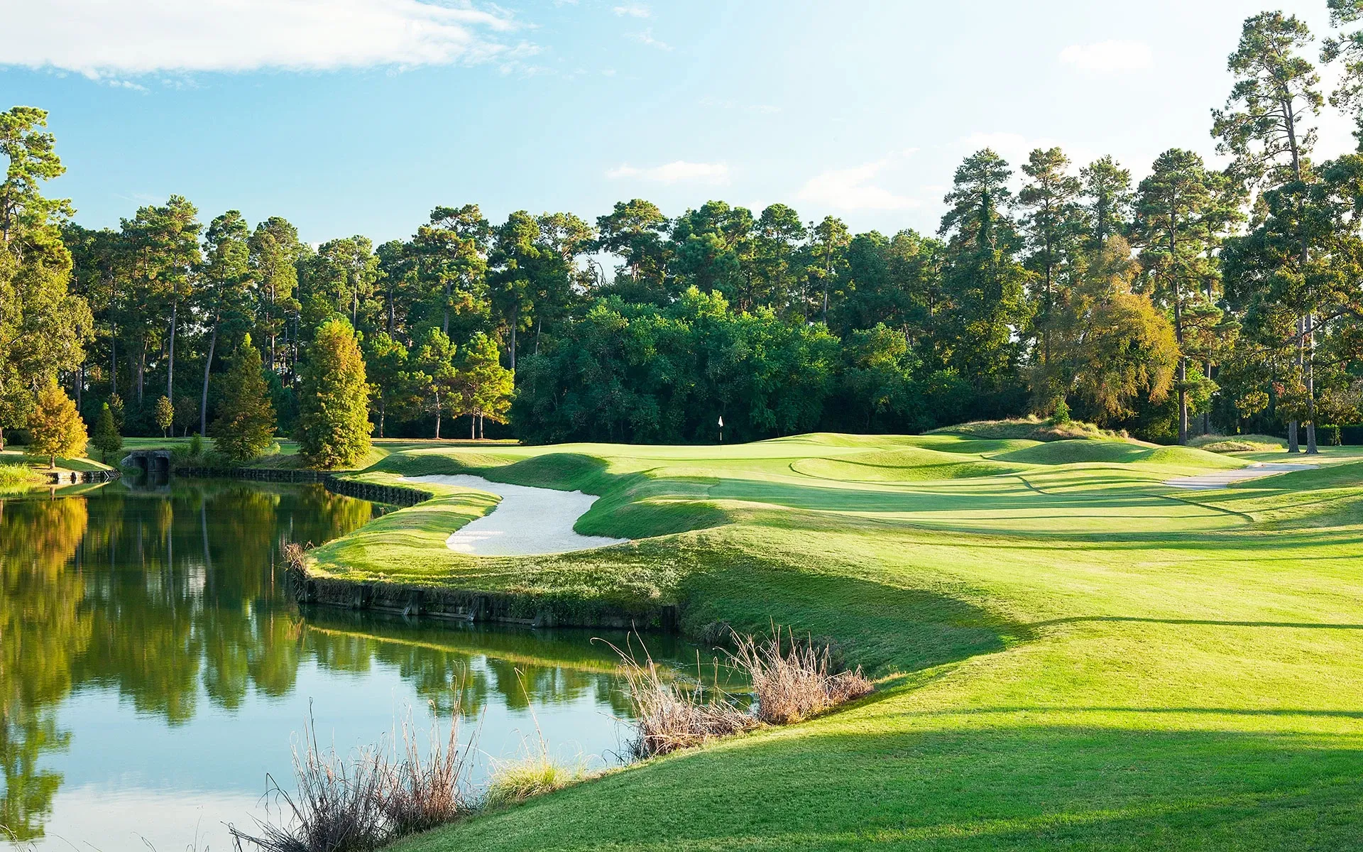 kingwood golf forest with a lake