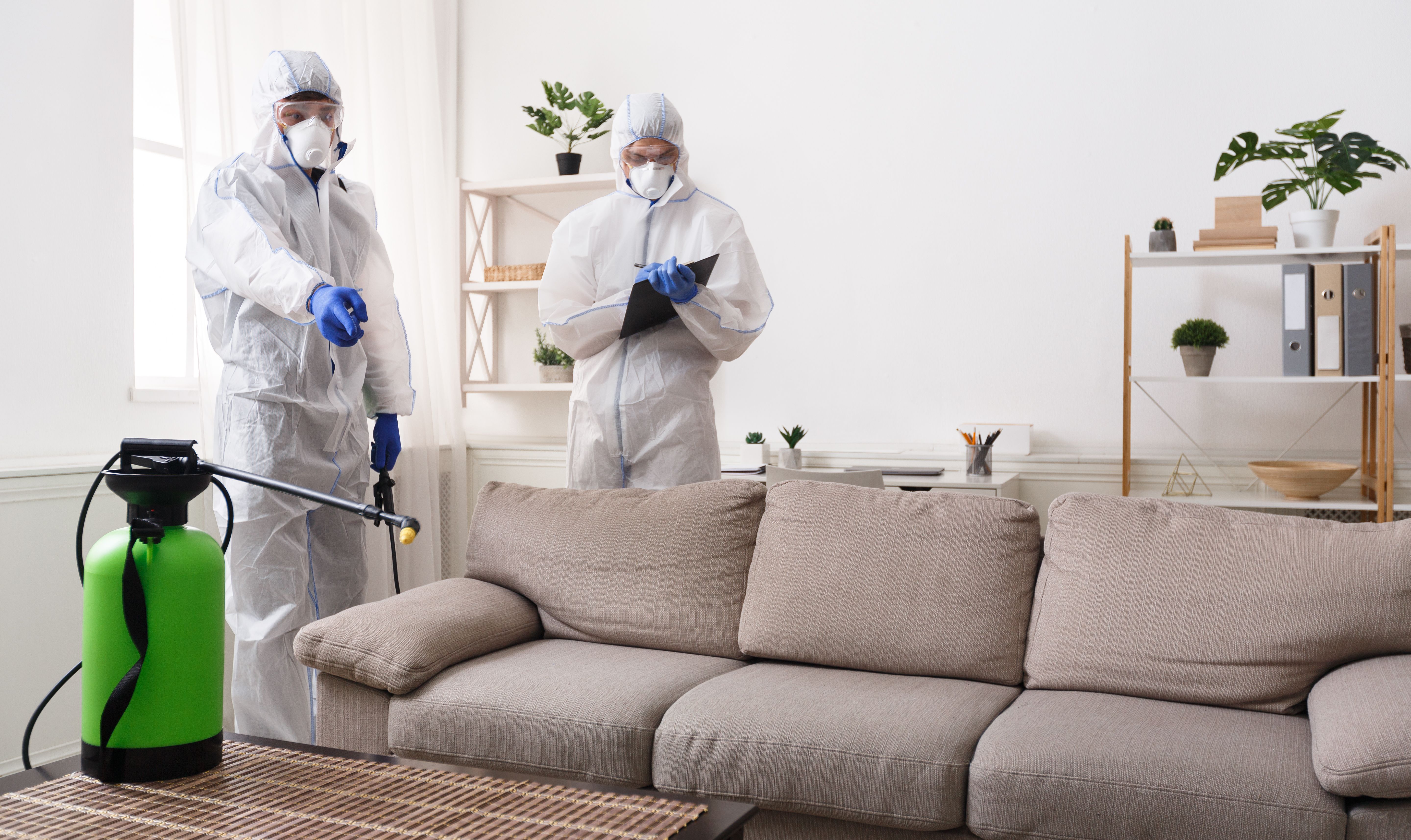 Two specialists in protective suits disinfecting an old home after a pest infestation.