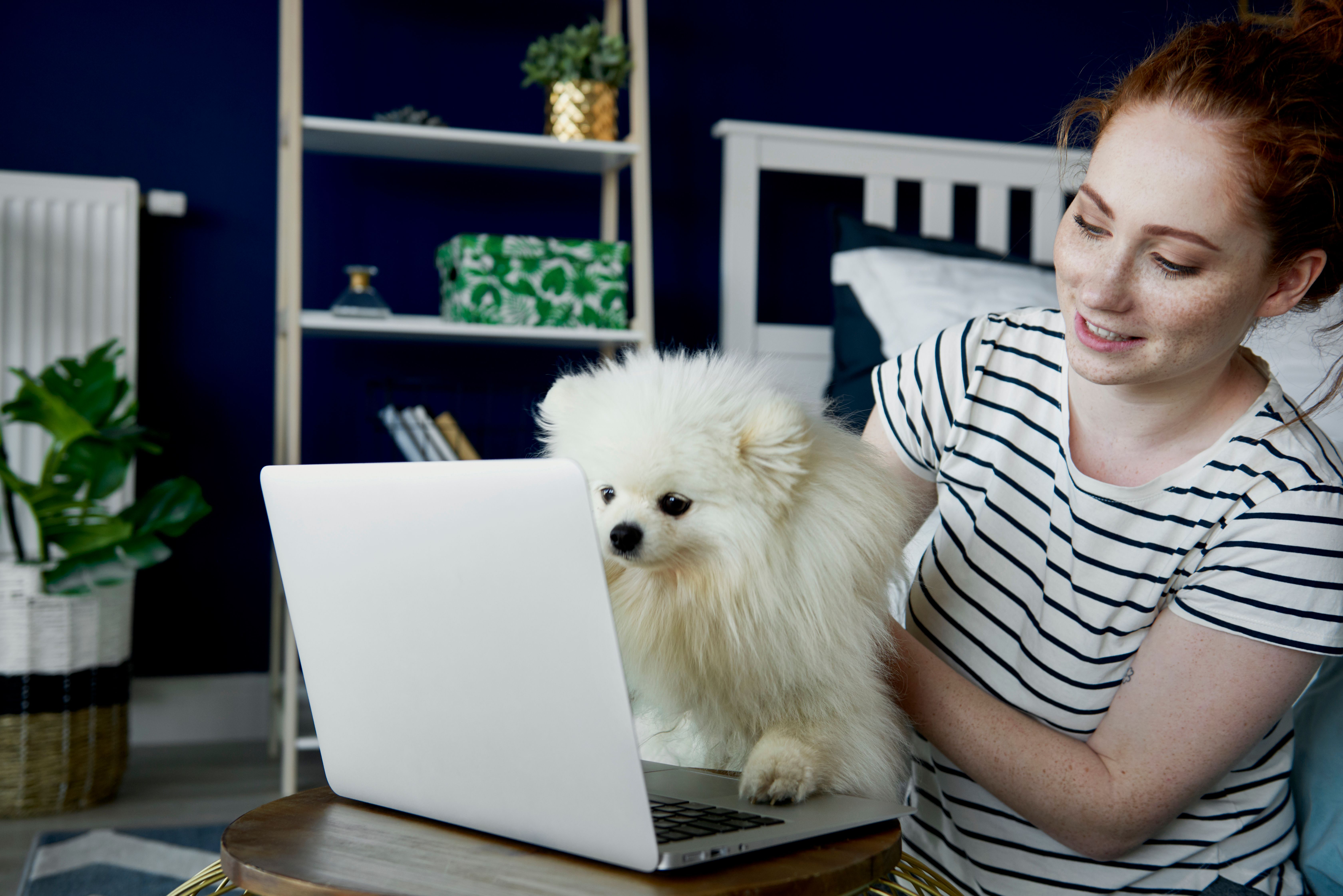 A Build To Rent tenant happily holding their white pet dog looking at a laptop while at home