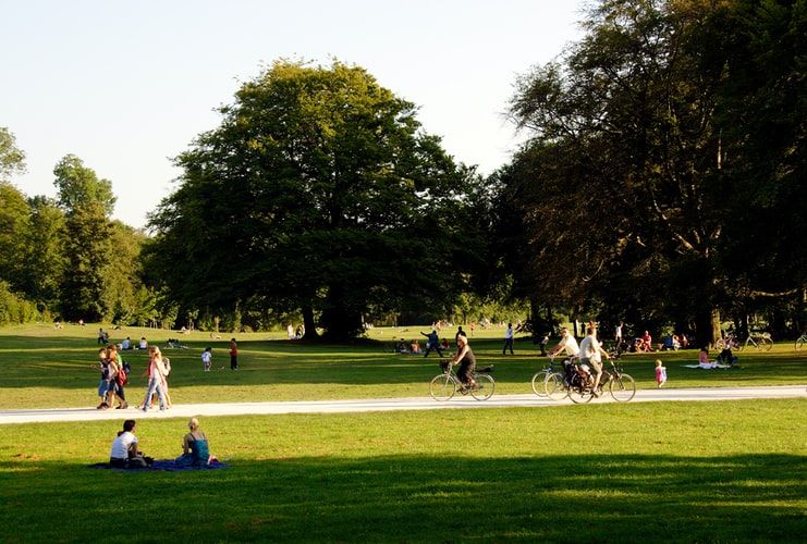 many people enjoy the afternoon sun in the meadows of a park, sitting and lying, others walk or ride a bicycle