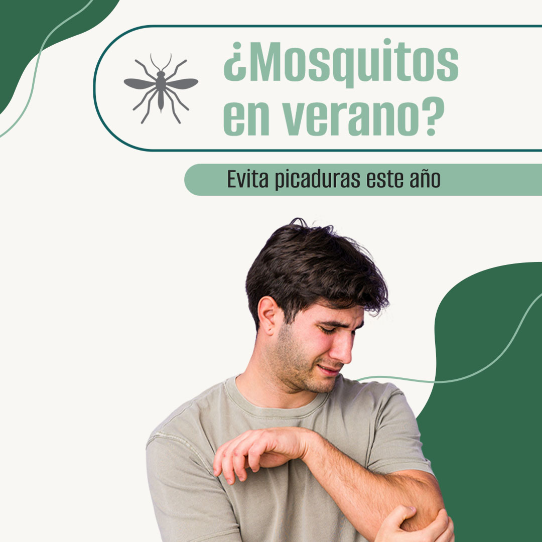 ¿Mosquitos en verano?