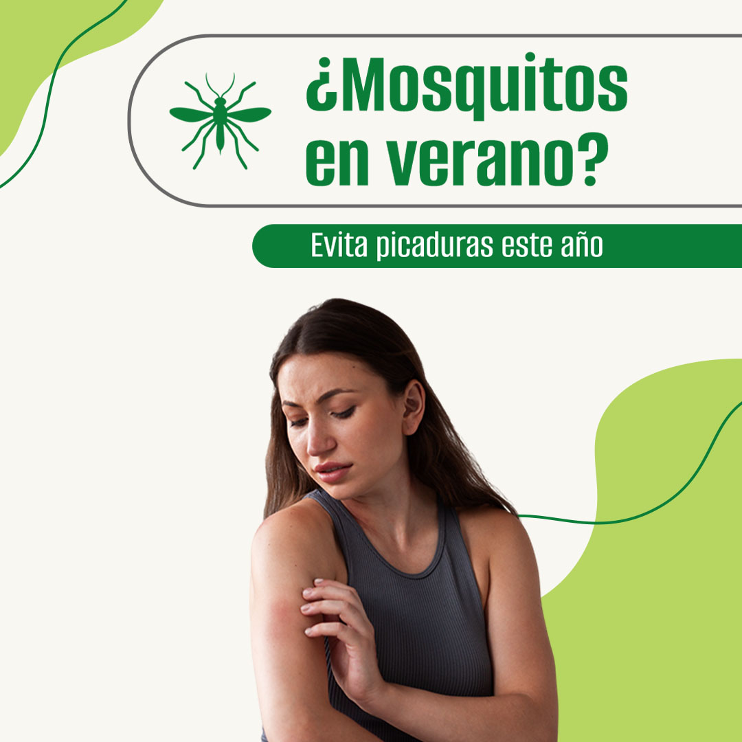 Mosquitos en verano