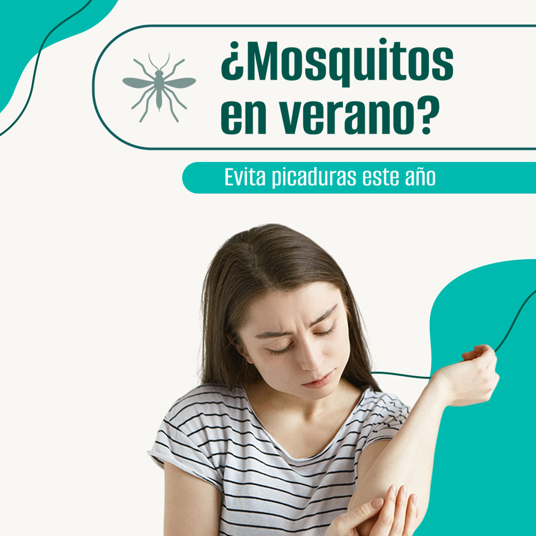 ¿Mosquitos en verano?