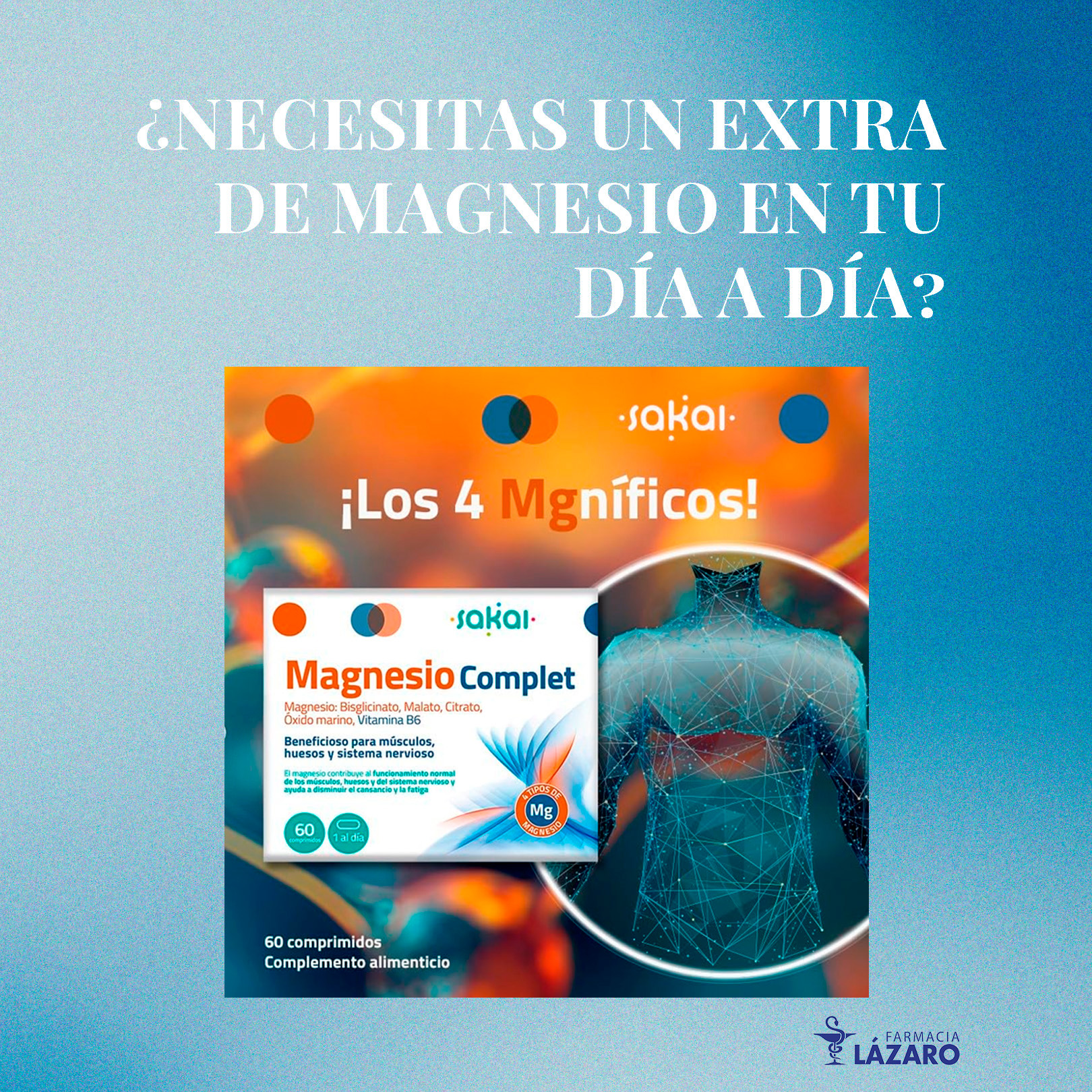 ¿Necesitas un extra de magnesio en tu día a día?
