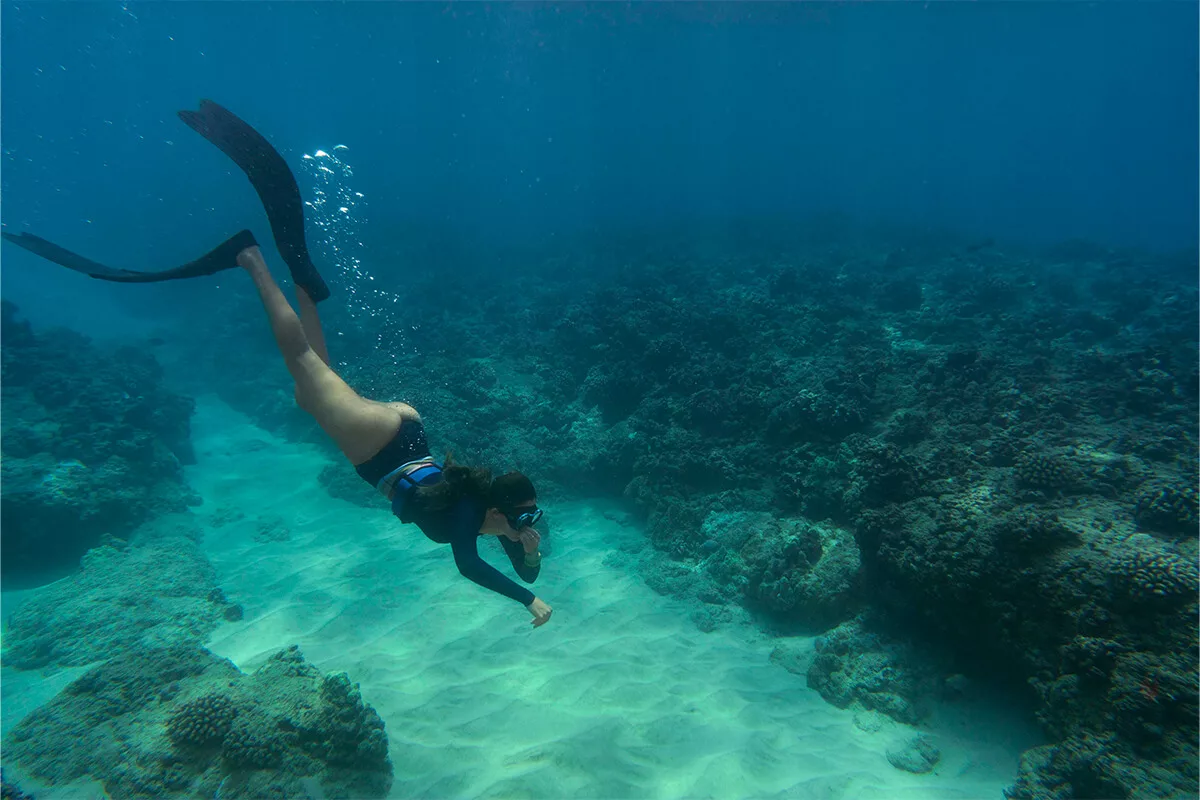 Buceo: Explora el fascinante mundo bajo el agua