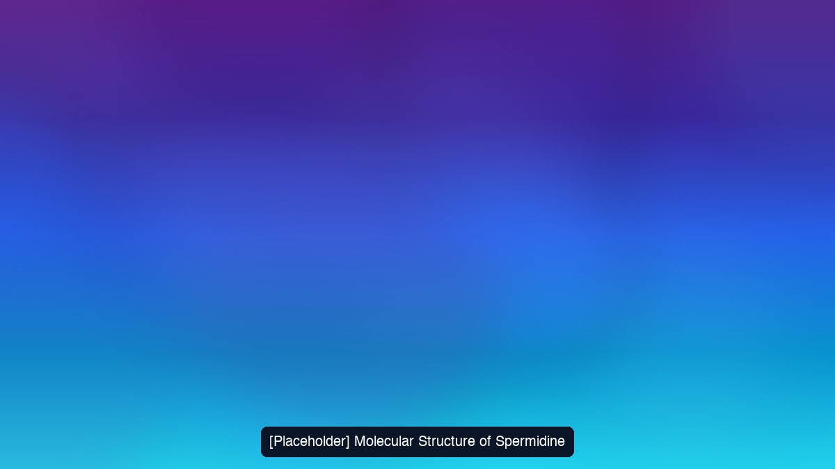 Spermidine molecular structure