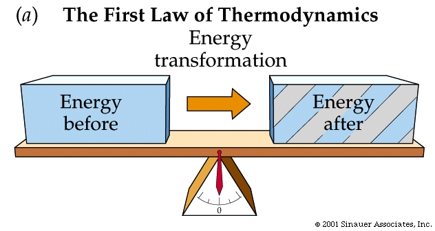 thermodynamics