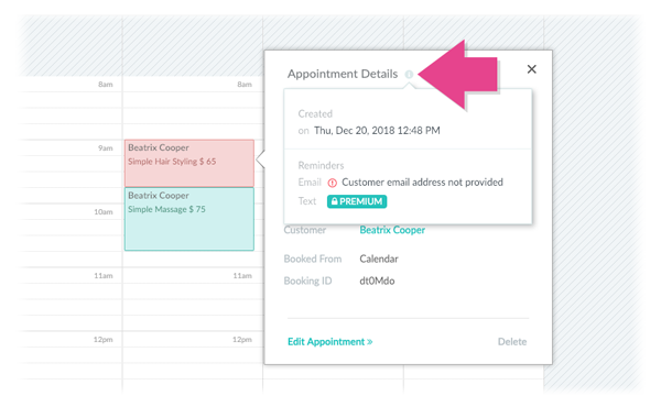 The Appointment Details window.